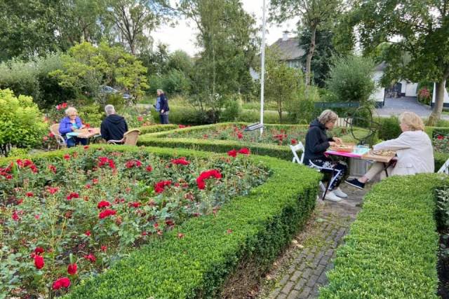 107473073-3146656655401177-8745498052920275356-n - Afbeelding 2 van 5